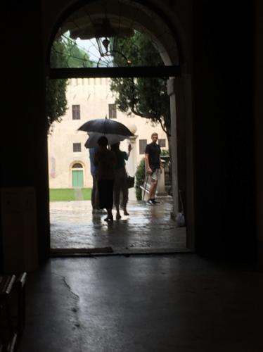 Cataio2019-06-22 10.58.00 HDR